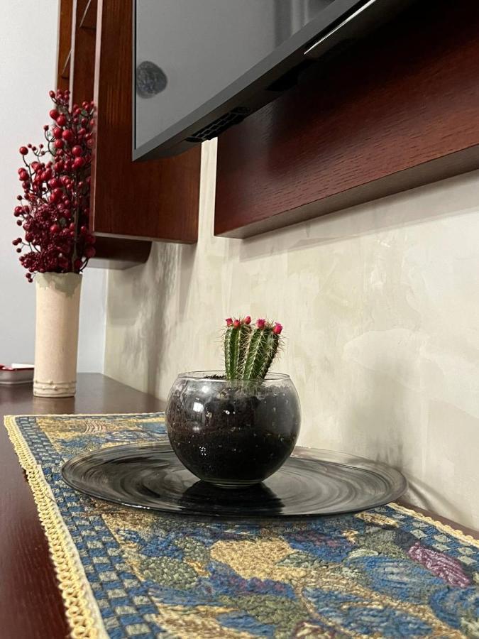 Cozy Nest Ledi Daire Tiran Dış mekan fotoğraf